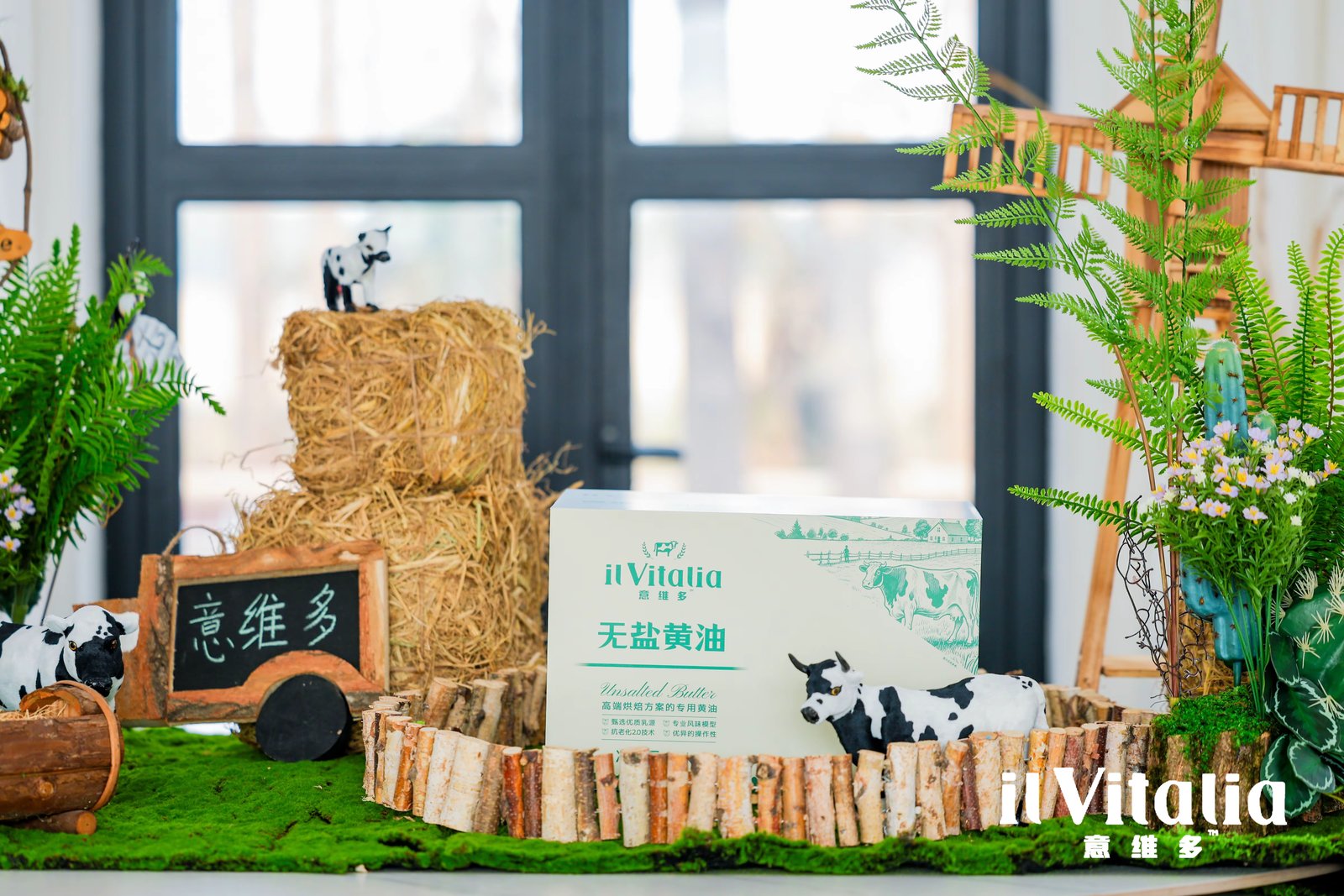 Shenzhen Nanshun Oils Co., Ltd. ilVitalia Unsalted Butter Product Launch Salon project image 9