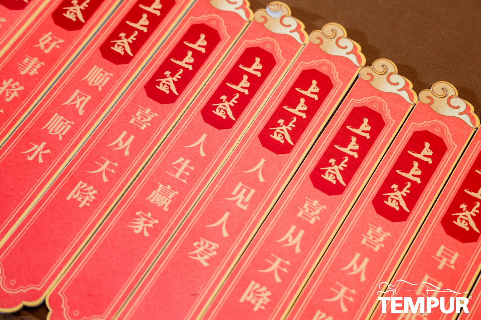 Tempur Trading (Shanghai) Co., Ltd. 2025 TEMPUR Annual Gala project image 6