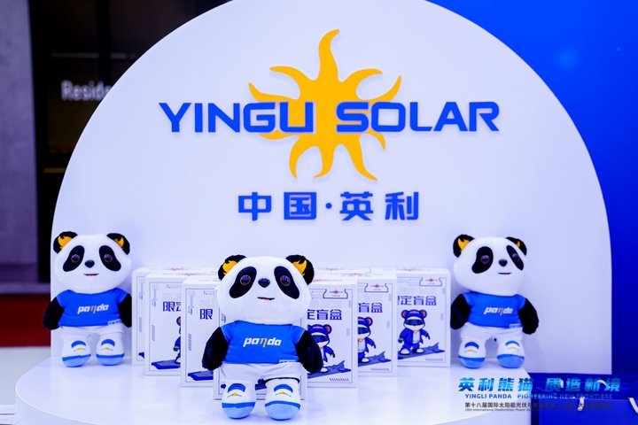Yingli Energy (China) Co., Ltd. Yingli Solar at SNEC 2025 project image 5